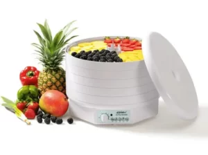 ezidri food dehydrator