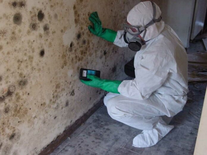 Mould Treatment Sydney